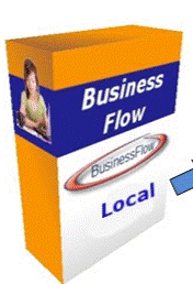 BusinessFlow local